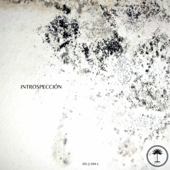 INTROSPECCION