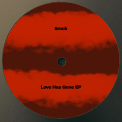 Love Has Gone (Remix)