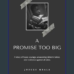 ebook read [pdf] 📖 A PROMISE TOO BIG: A story of hope, courage, unwavering determination, and resi