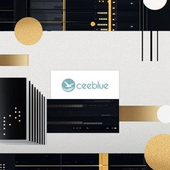 Fueling operational efficiency and global connectivity with Ceeblue