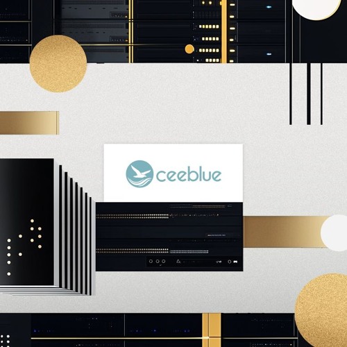 Fueling operational efficiency and global connectivity with Ceeblue