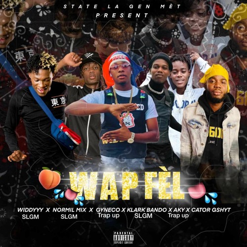 Wap Fel By SLGM X Trap Up Music X Cator G Shytt (Prodz By Amazing Music X Normilmix)) (1)