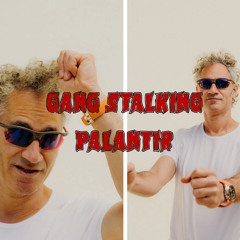 Patreon Preview – 434. Gang Stalking Palantir