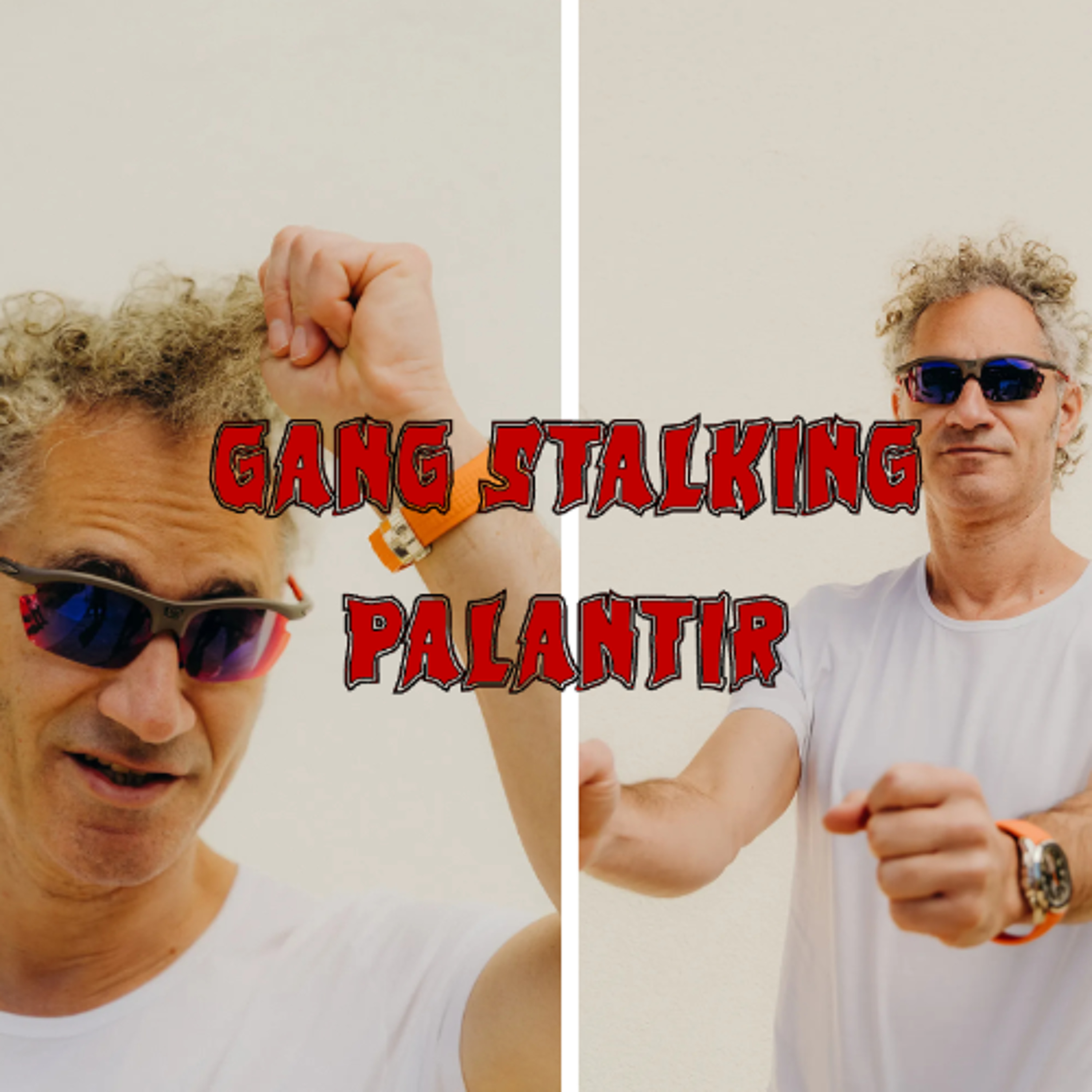 Patreon Preview – 434. Gang Stalking Palantir