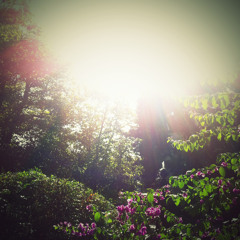 아쉬움 ver.07 (feat. Regina Jung)