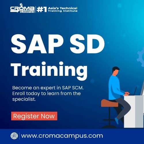 What Are The Functions Of SAP SD