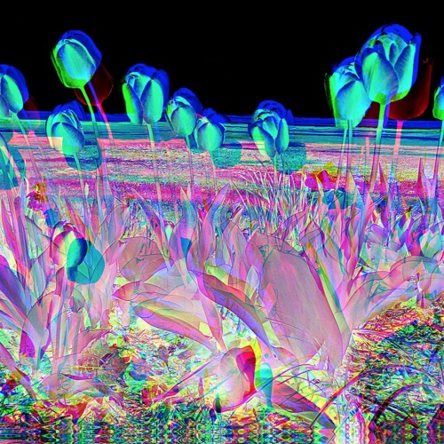 Fields In My Windows