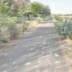 near Ahmedabad City, Narmada Canal, Gandhinagar, INDIA