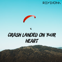 CRASH LANDED ON YOUR HEART