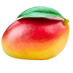 DJ Mango?