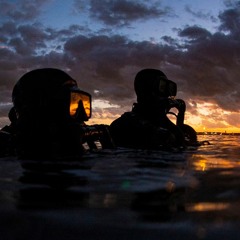 Special Unit Alpha