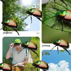 junebug