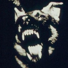 JayAxo - Whale Watch