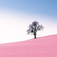 Plénitude – Original emotional Piano