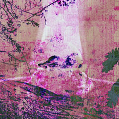 Sepulchra