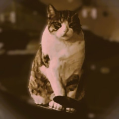 On a dark evening at Santa Croce Bastion (While Renzo, The Cat, silently looks at me)