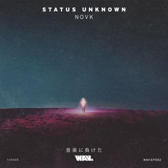 NOVK - Digital Cowboy