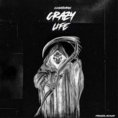 Crazy Life