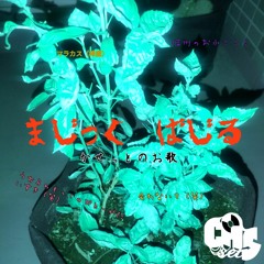 Magic Basil