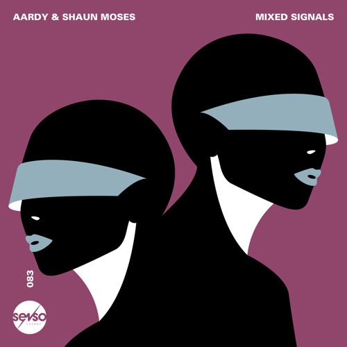 Premiere: Aardy & Shaun Moses - THIS [Senso Sounds]