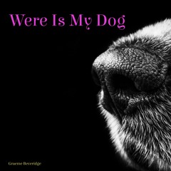 Were Is My Dog