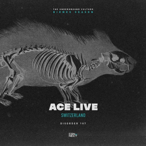 Ace Live @ Disorder #107 - Switzerland