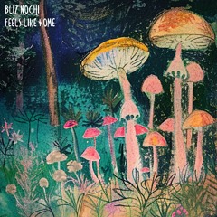 Bliz Nochi - Remember That Time