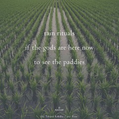 Rain rituals (naviarhaiku599)