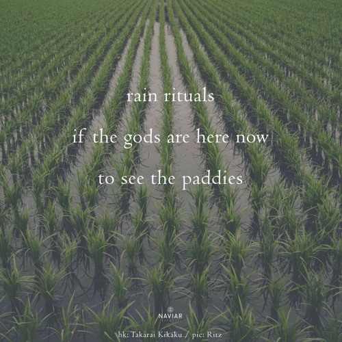 Rain rituals (naviarhaiku599)