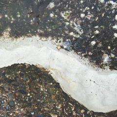 The Ever Changing Landscape