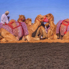 ‎⁨لاعصار الغربي⁩