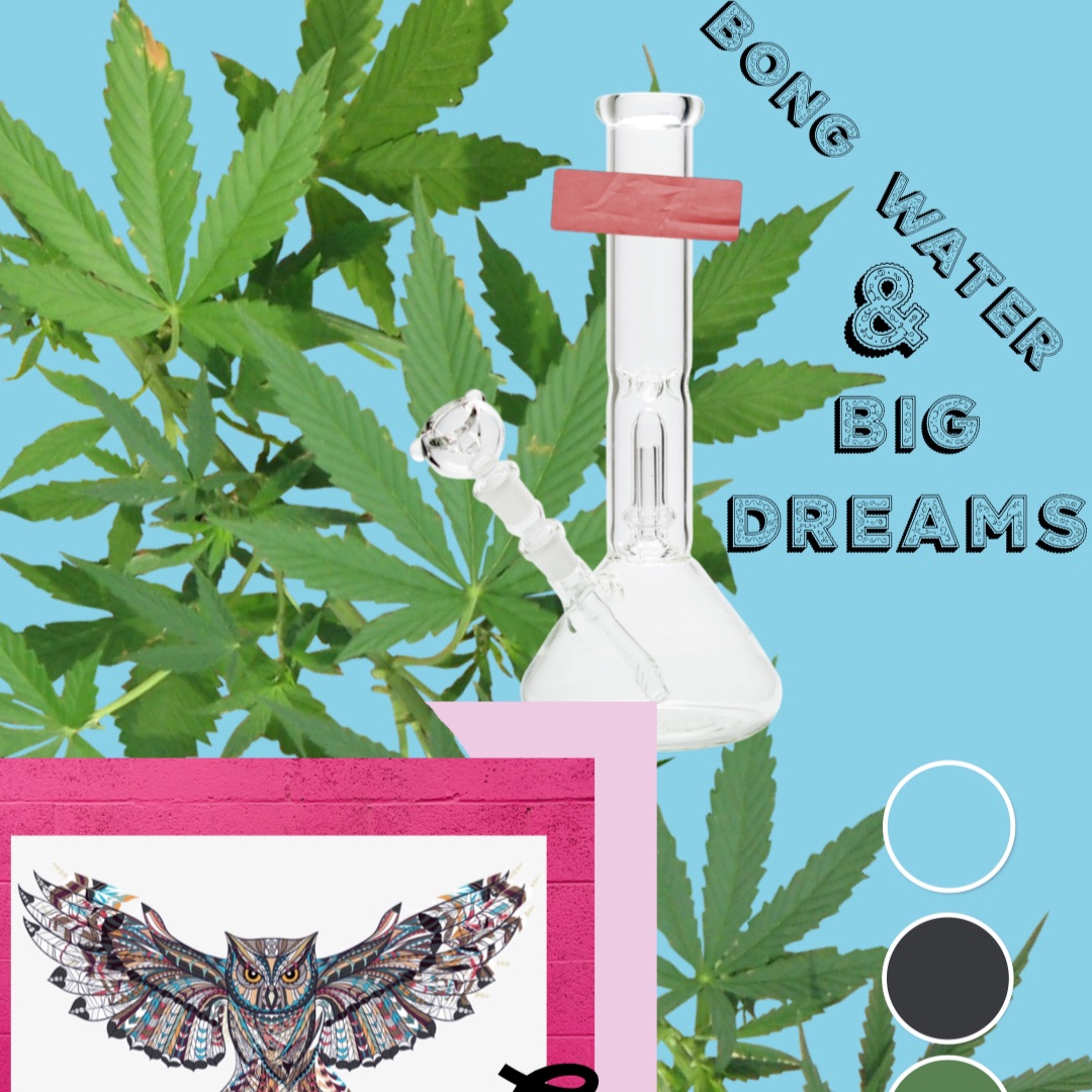 The Midnight Owl- Ep.18 Bong Water And Big Dreams episode artwork