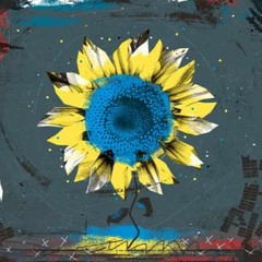 Остановись! Иди домой, солдат