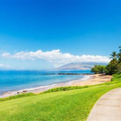 Best Things To Do In Wailea Maui Tours Reviews