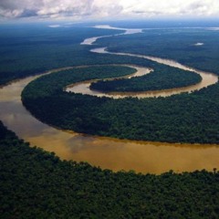 the river