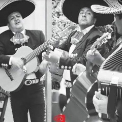 MTG - TIPO UM BUFALO VS SOCADAO - DJ FP