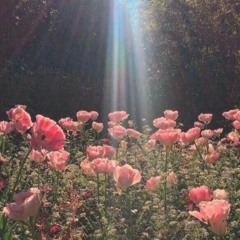 Sunday Morning (Cover)