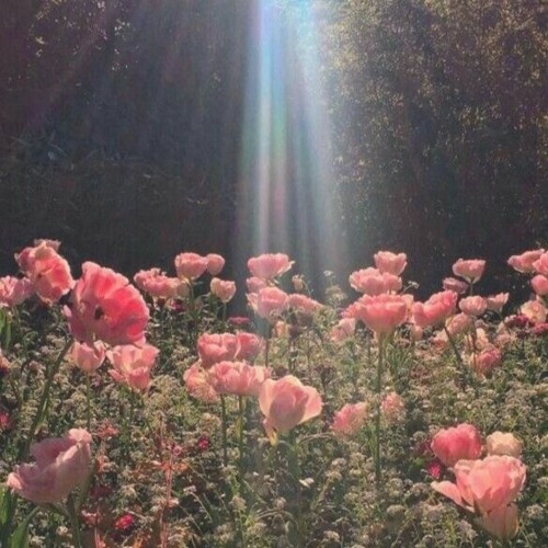 Sunday Morning (Cover)