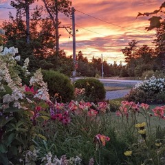 flower bed