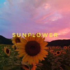 ｓｕｎｆｌｏｗｅｒ ( ひまわり )
