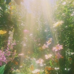 Sunshine in the rain