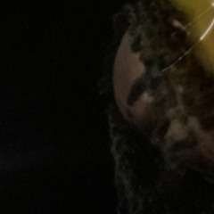 shine n pieces