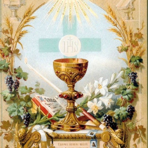 Tromba Tascabile Stagg WS - TR245 In Sib - Acciaio Inossidabile Con Custodia - Foto 2