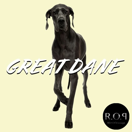 GREAT DANE [Kendrick Lamar x N.E.R.D. type beat] [on Beatstars]