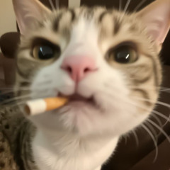 10 MAT 1 CON KHONG FT TRA CHO ANH - T05 (FULL)