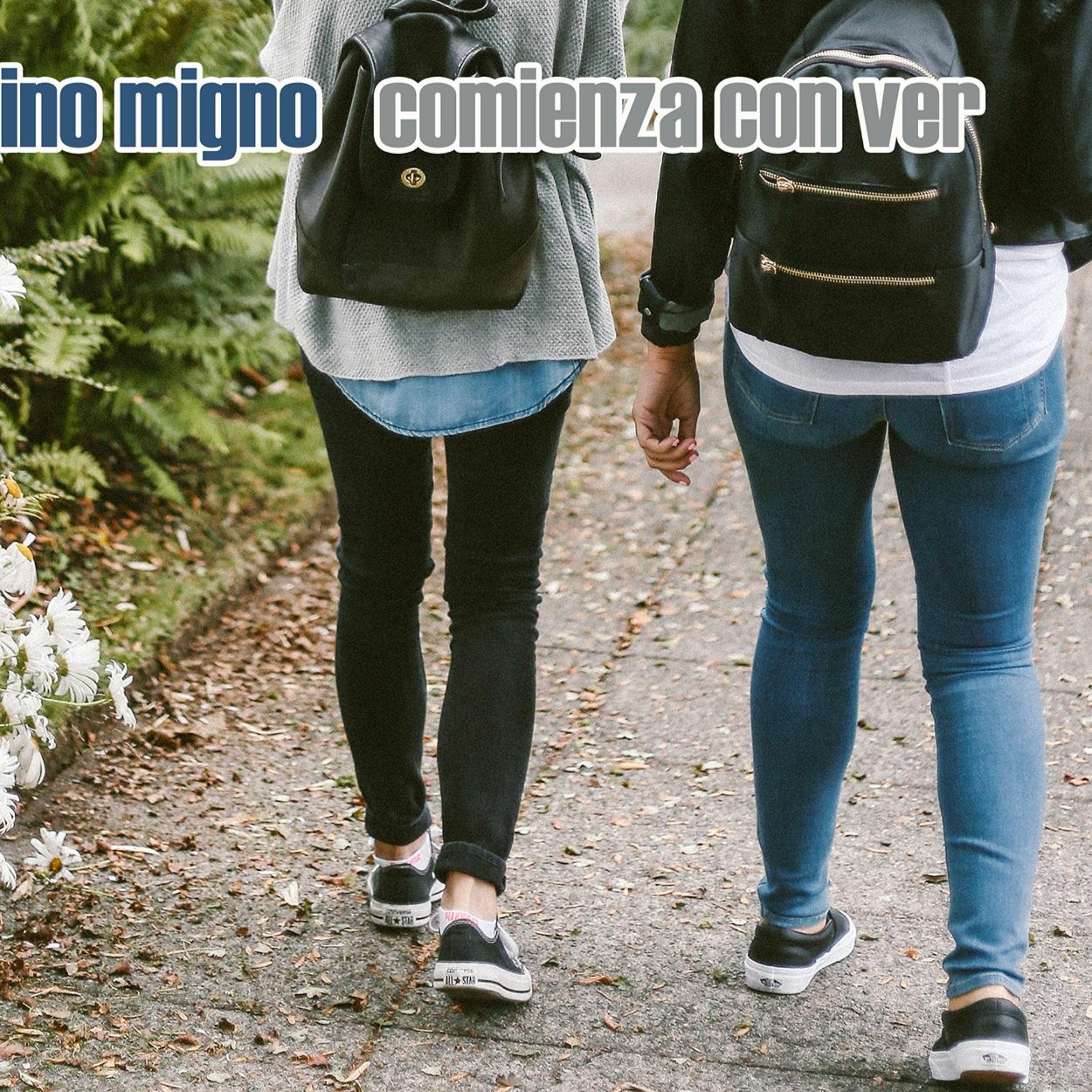 Artista Musi Comino Migno