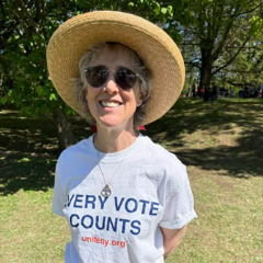 Voices from Albany's Tulip Festival on Tenants, Gun Violence, Political Reform