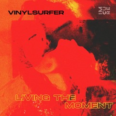 Vinylsurfer - Living The Moment (Original Mix) | ★OUT NOW★