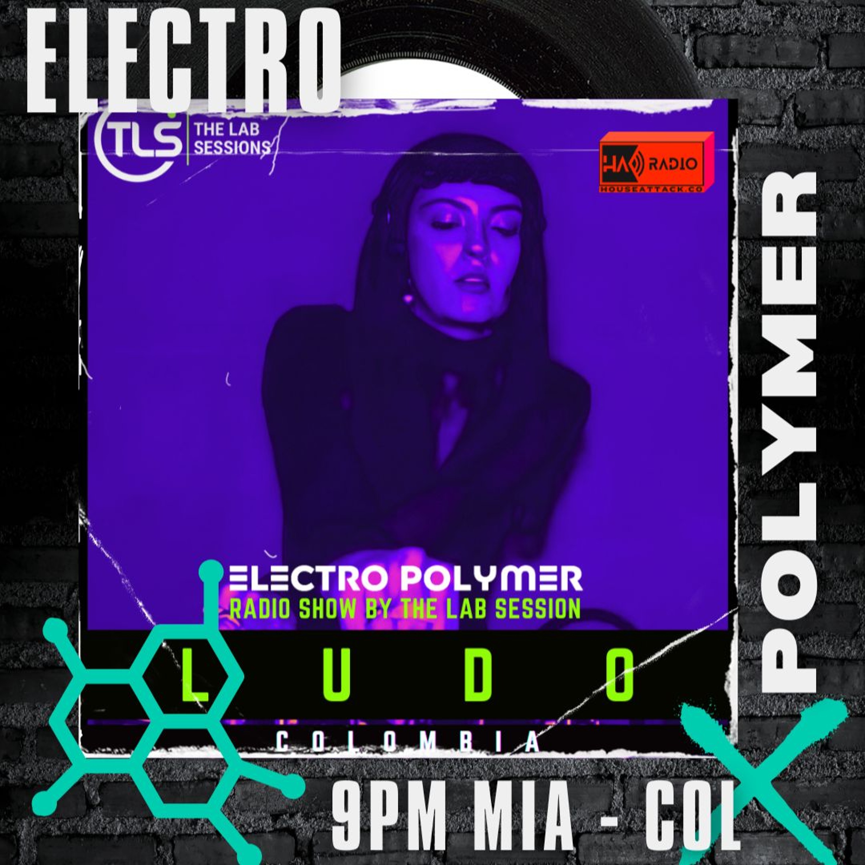 ELECTRO POLYMER - LUDO (COL) episode artwork
