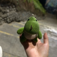 Amig0s (Beach version)